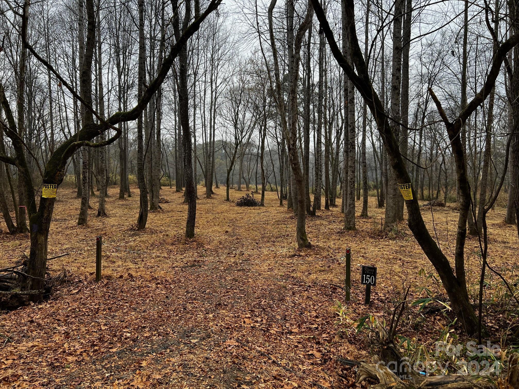 Photo #27