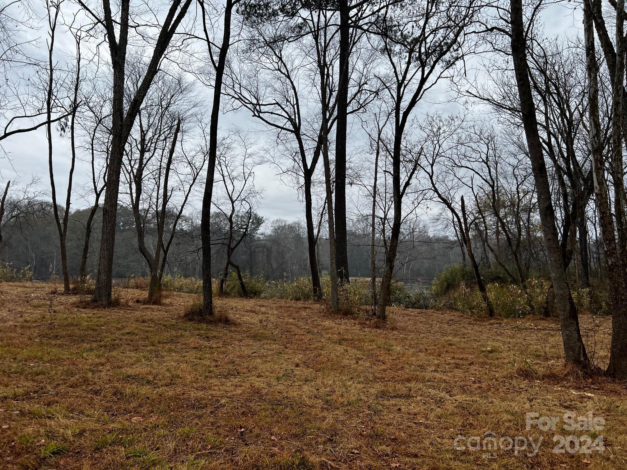 Photo #26
