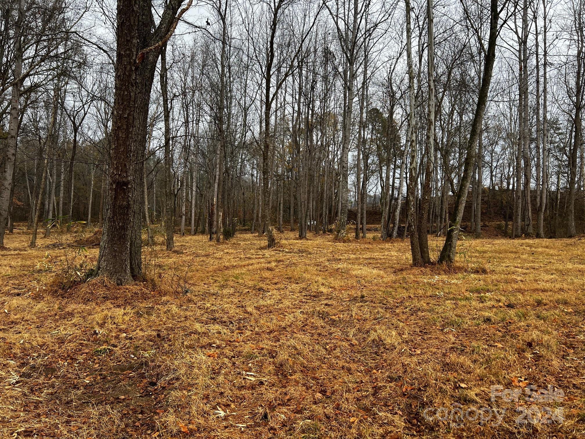 Photo #32