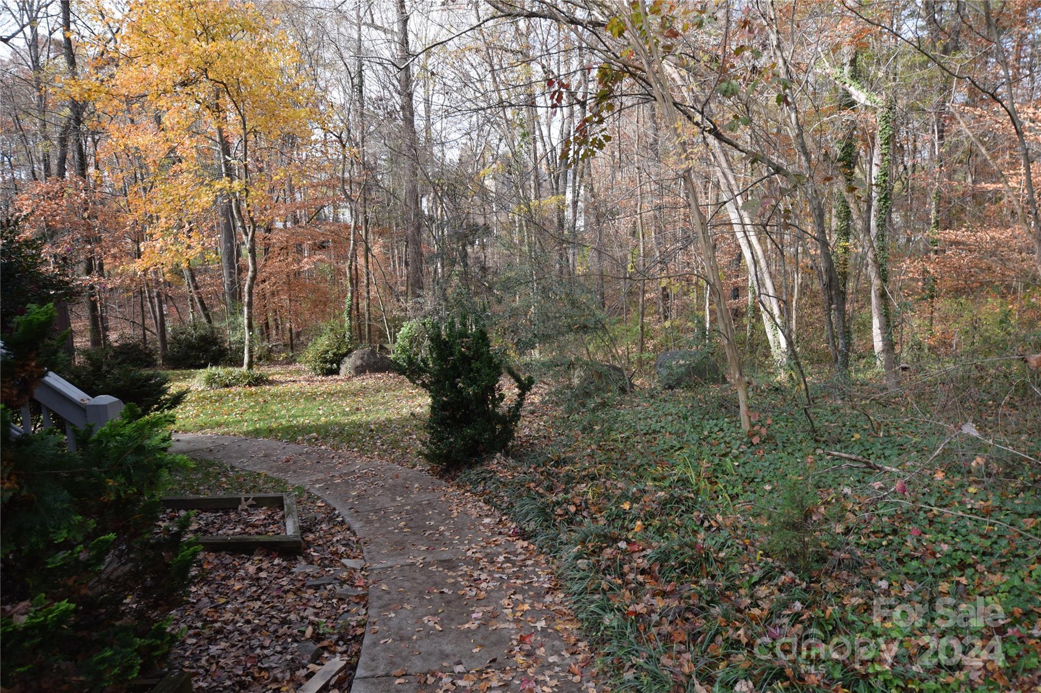 Photo #32