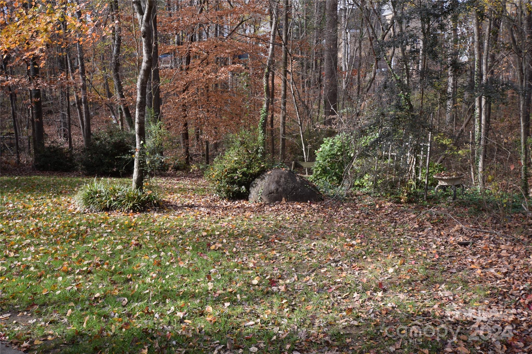 Photo #34