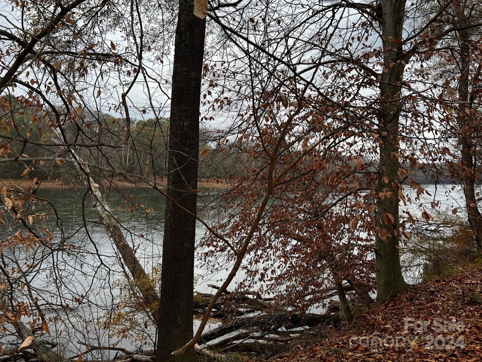 Photo #13