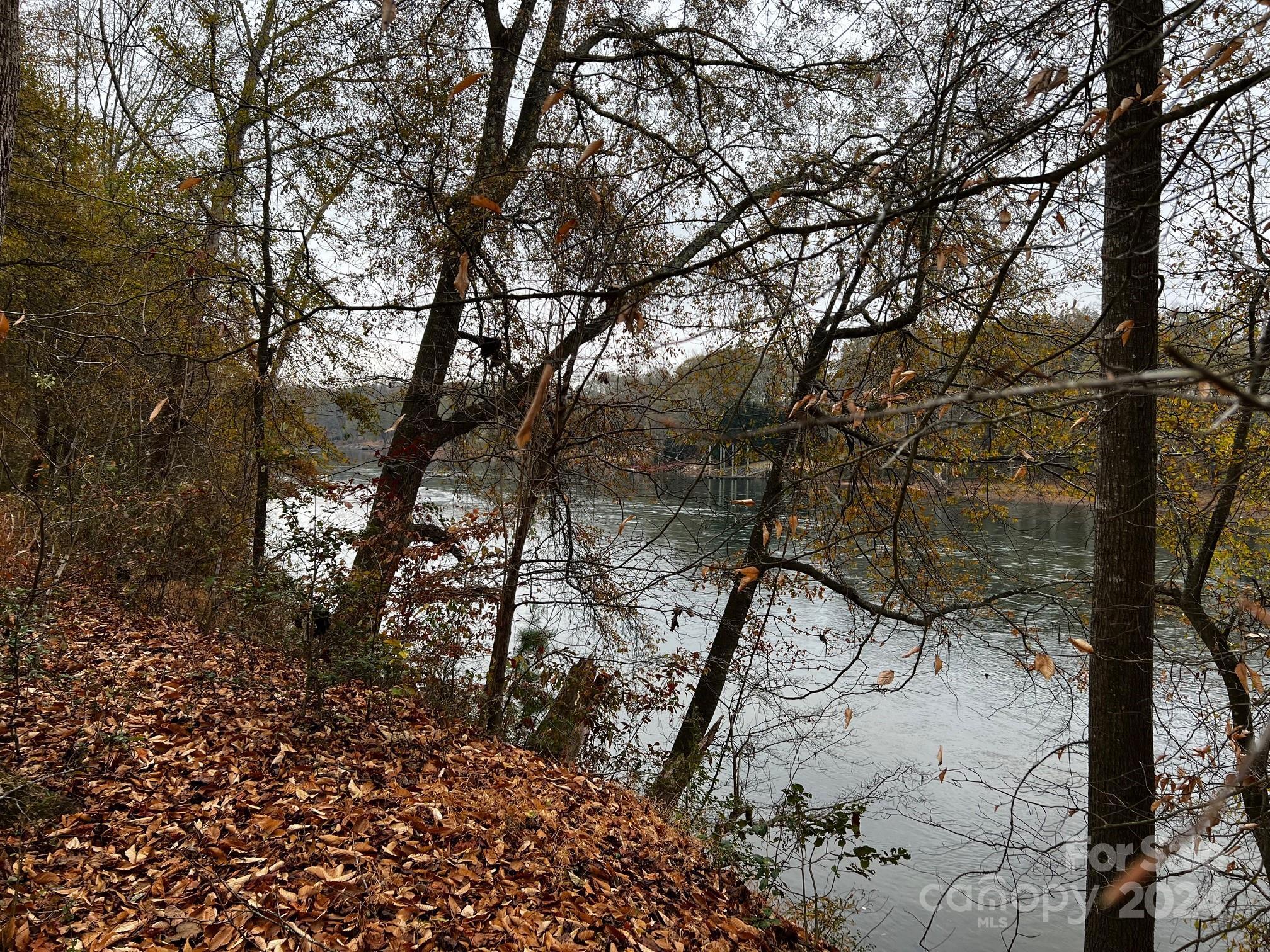 Photo #11