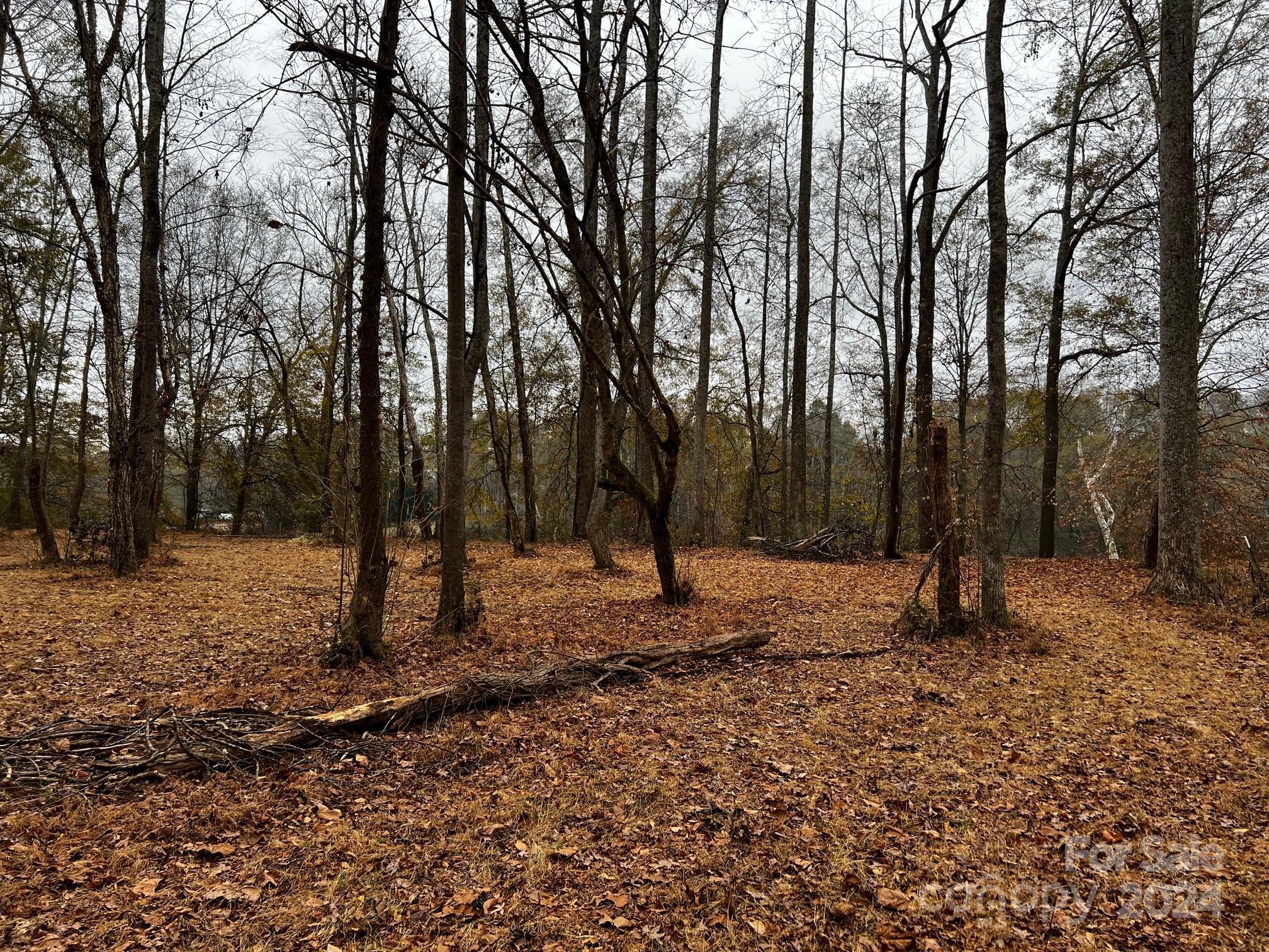 Photo #14