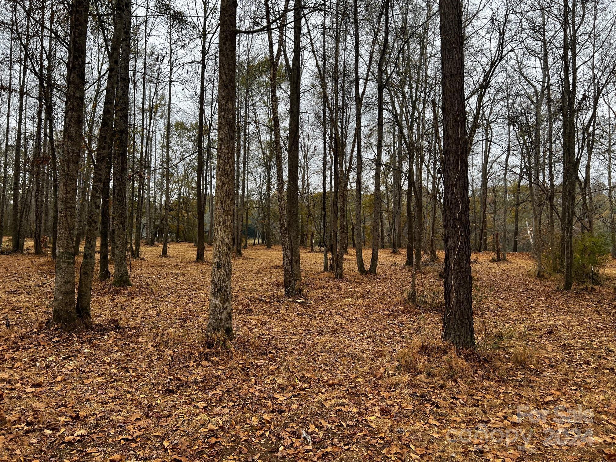 Photo #15