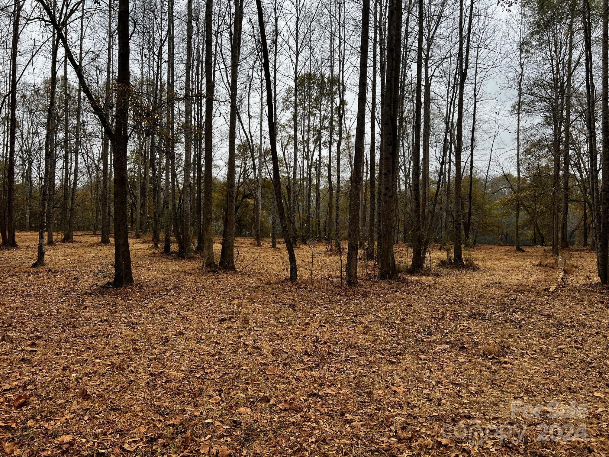 Photo #24