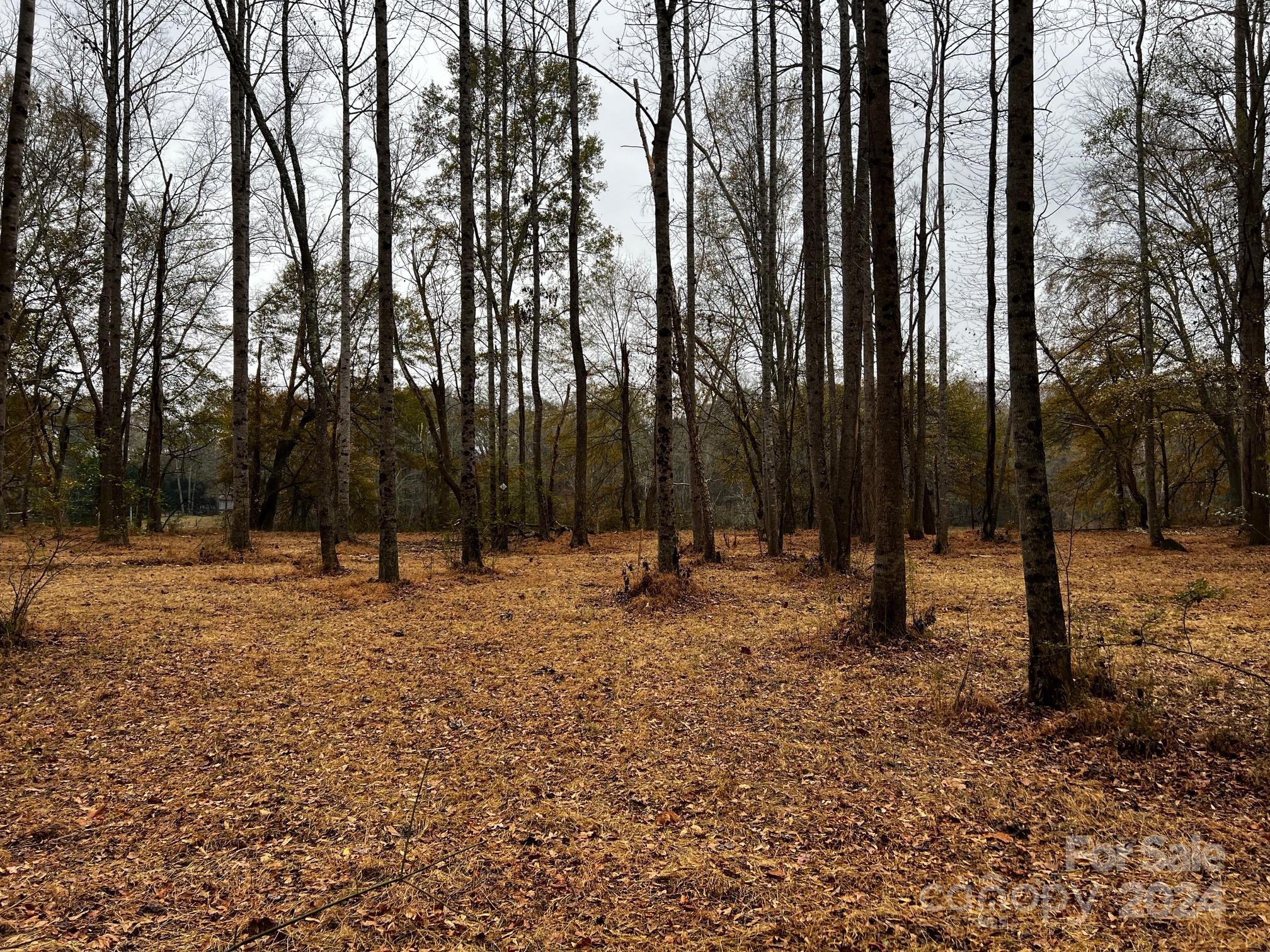 Photo #25