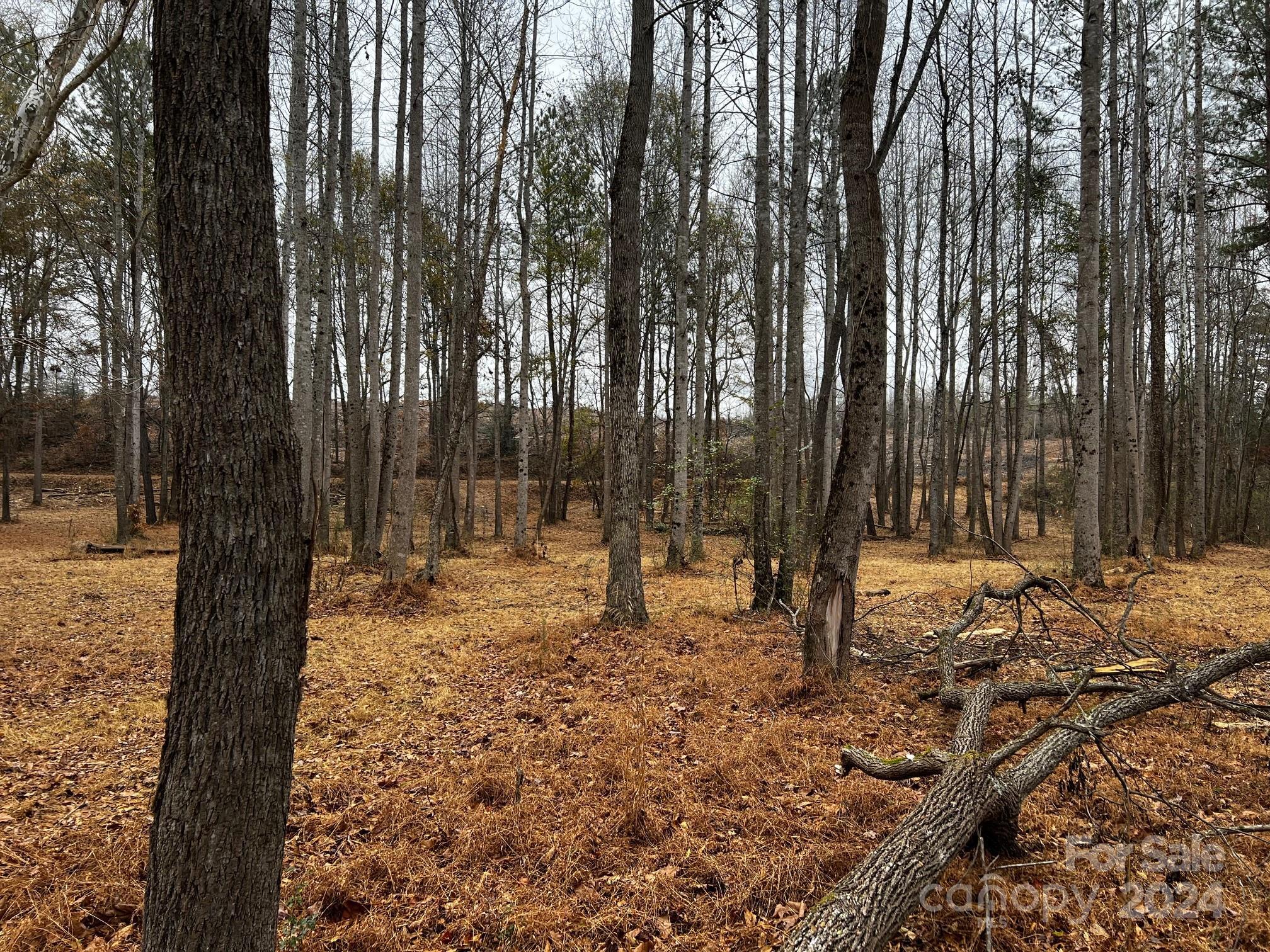 Photo #17