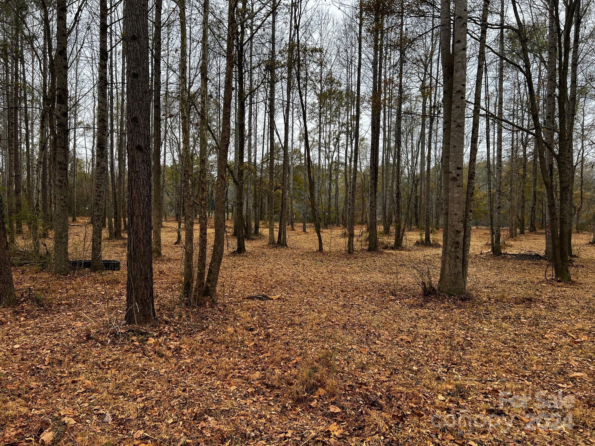 Photo #26