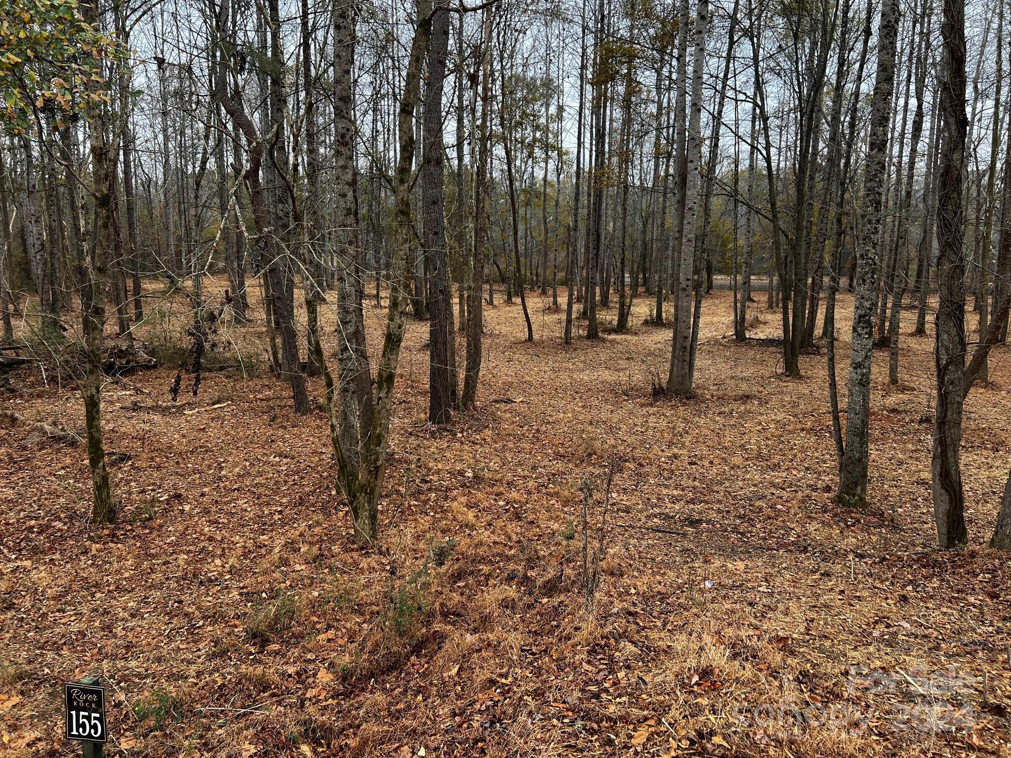 Photo #27