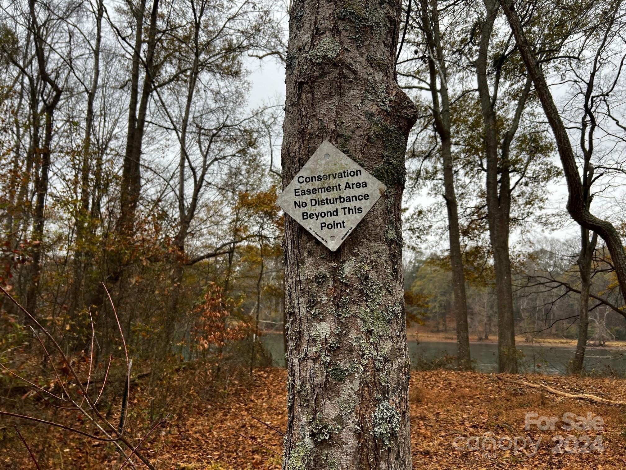 Photo #16