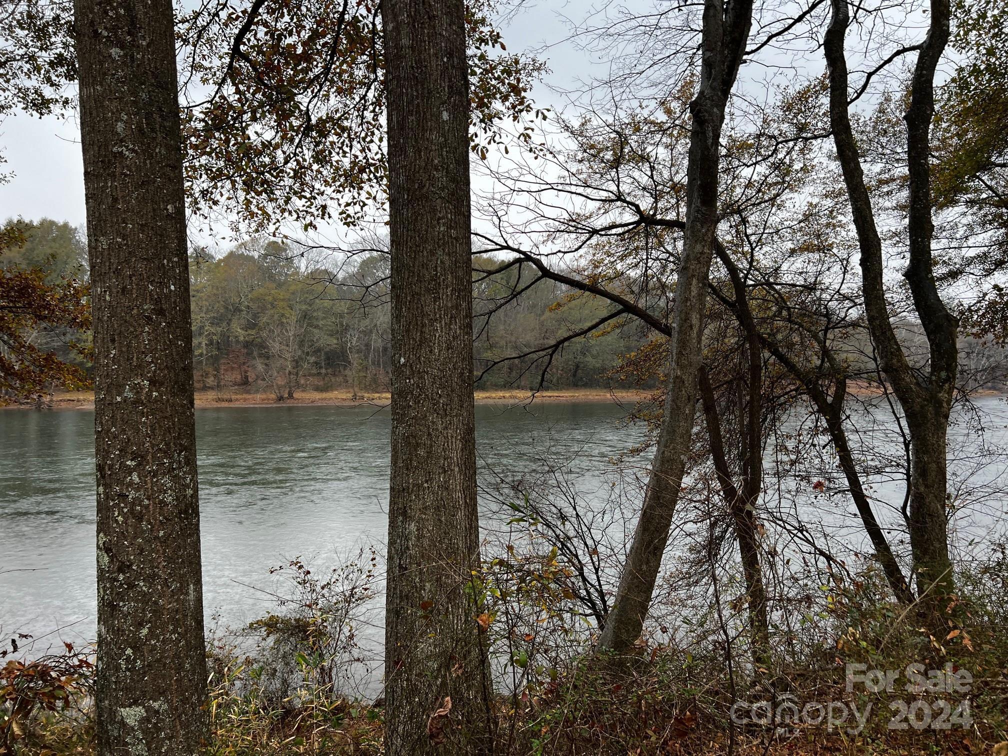 Photo #14