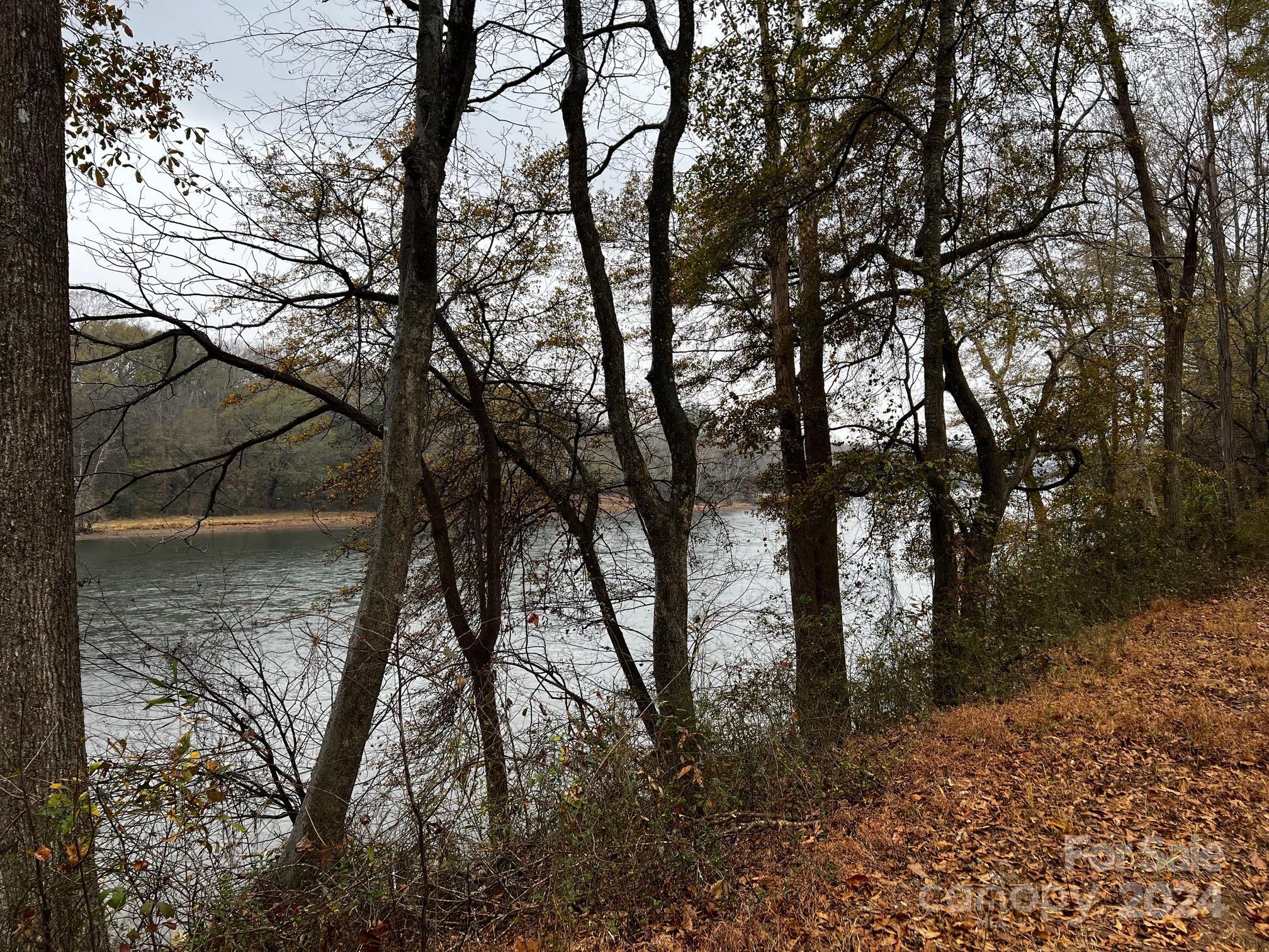 Photo #13