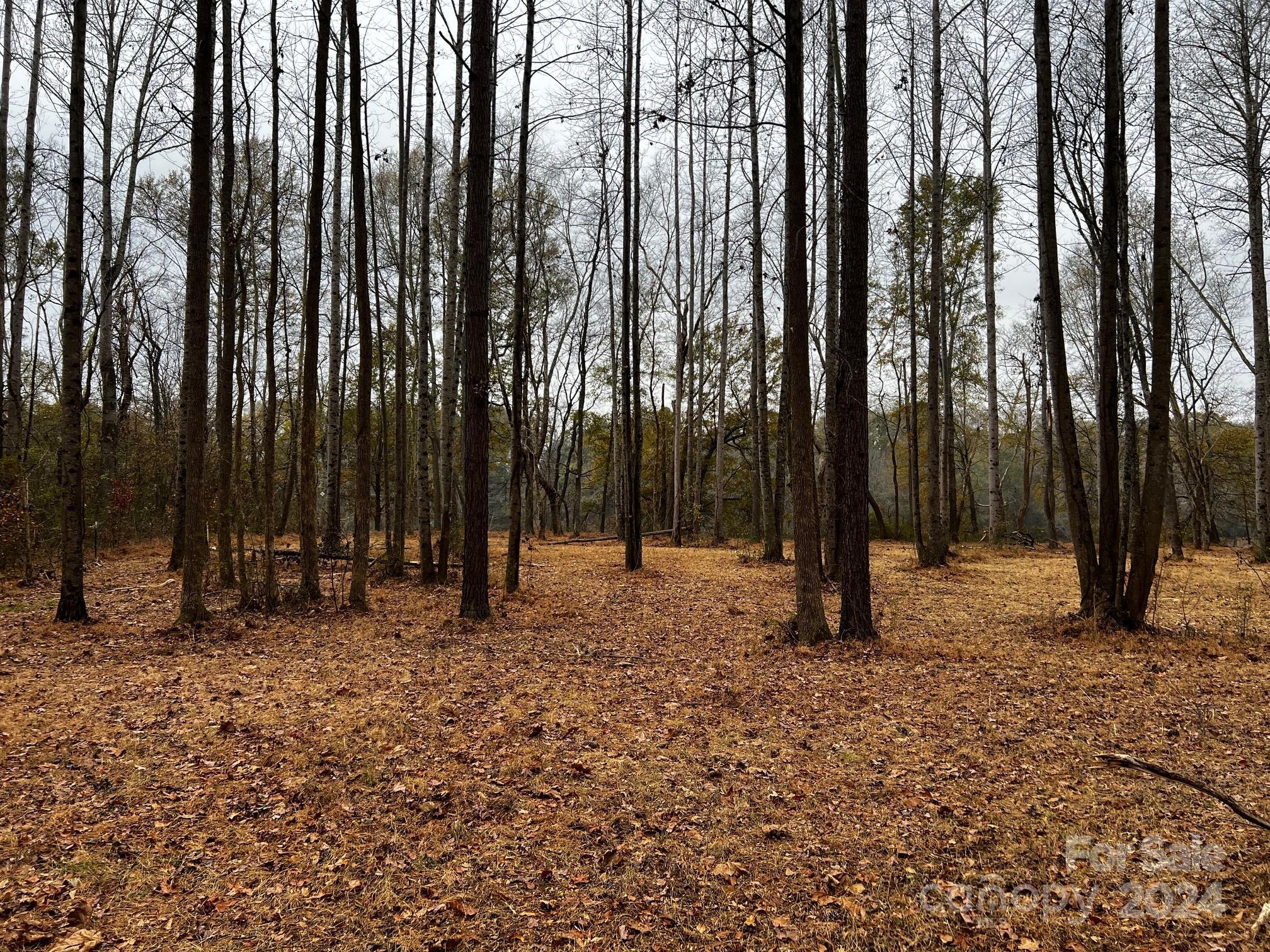 Photo #19