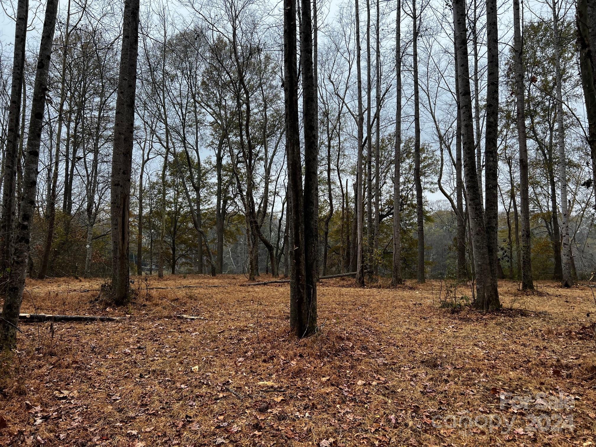 Photo #18