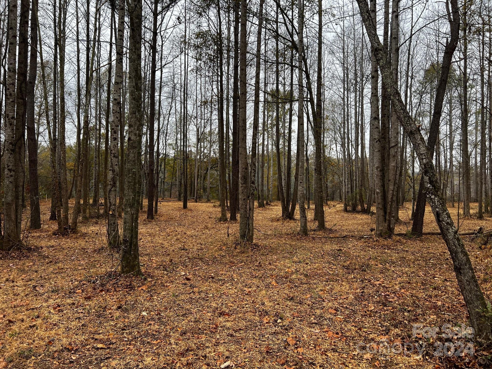 Photo #20
