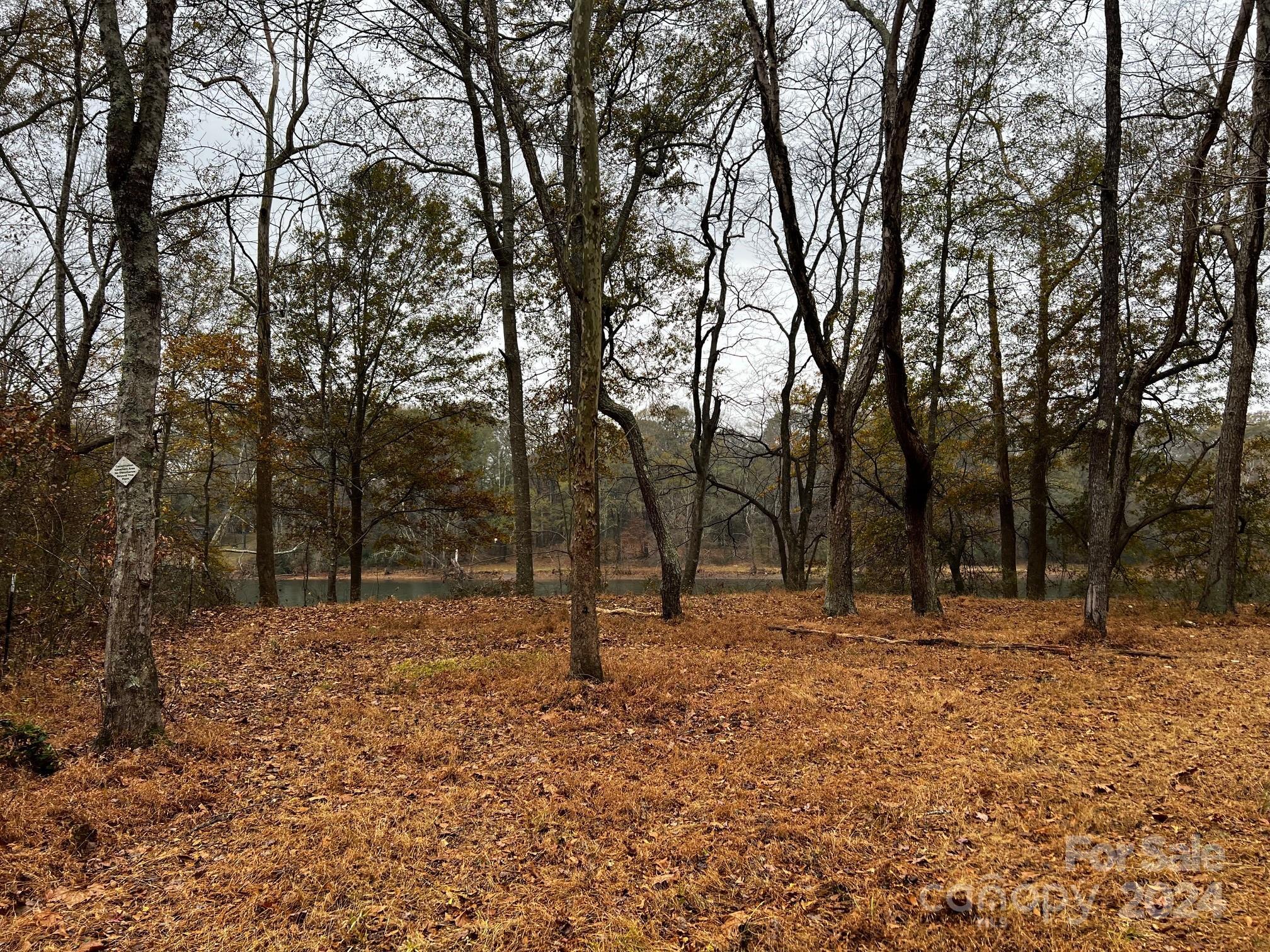 Photo #17