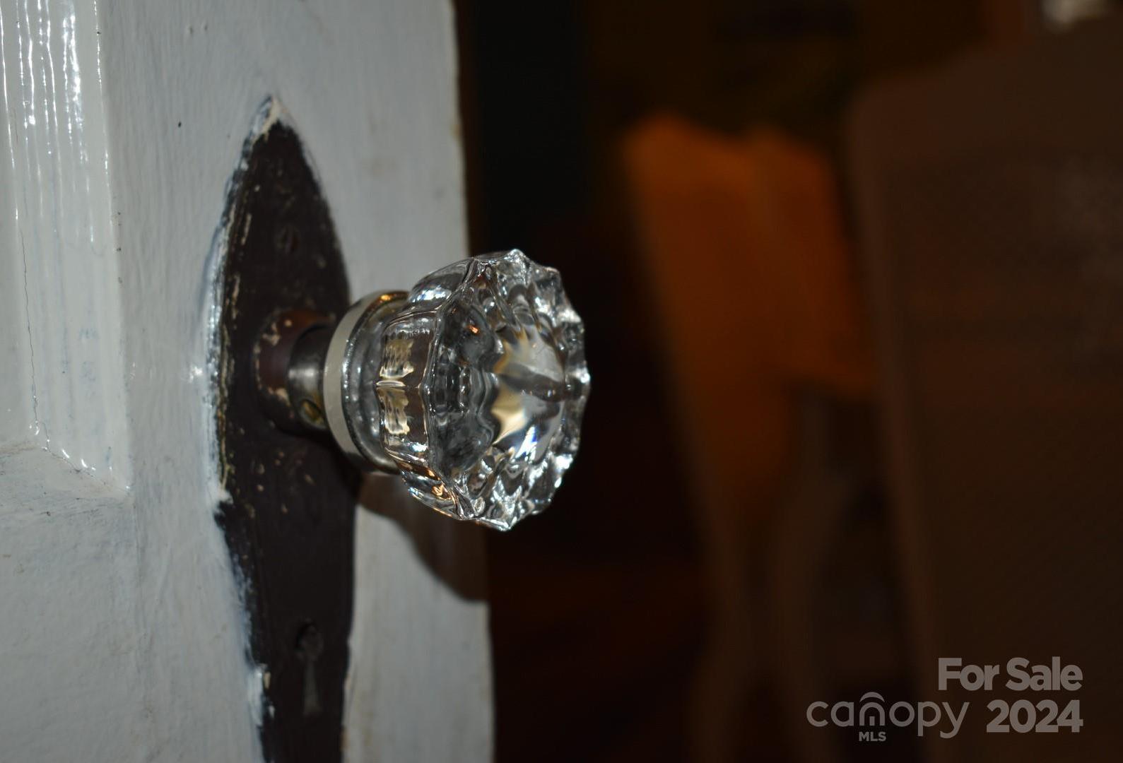 Photo #24