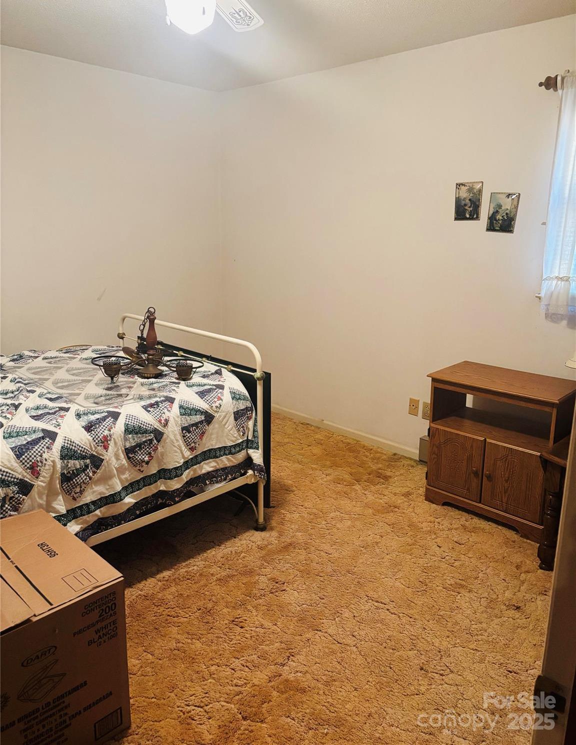 Photo #12