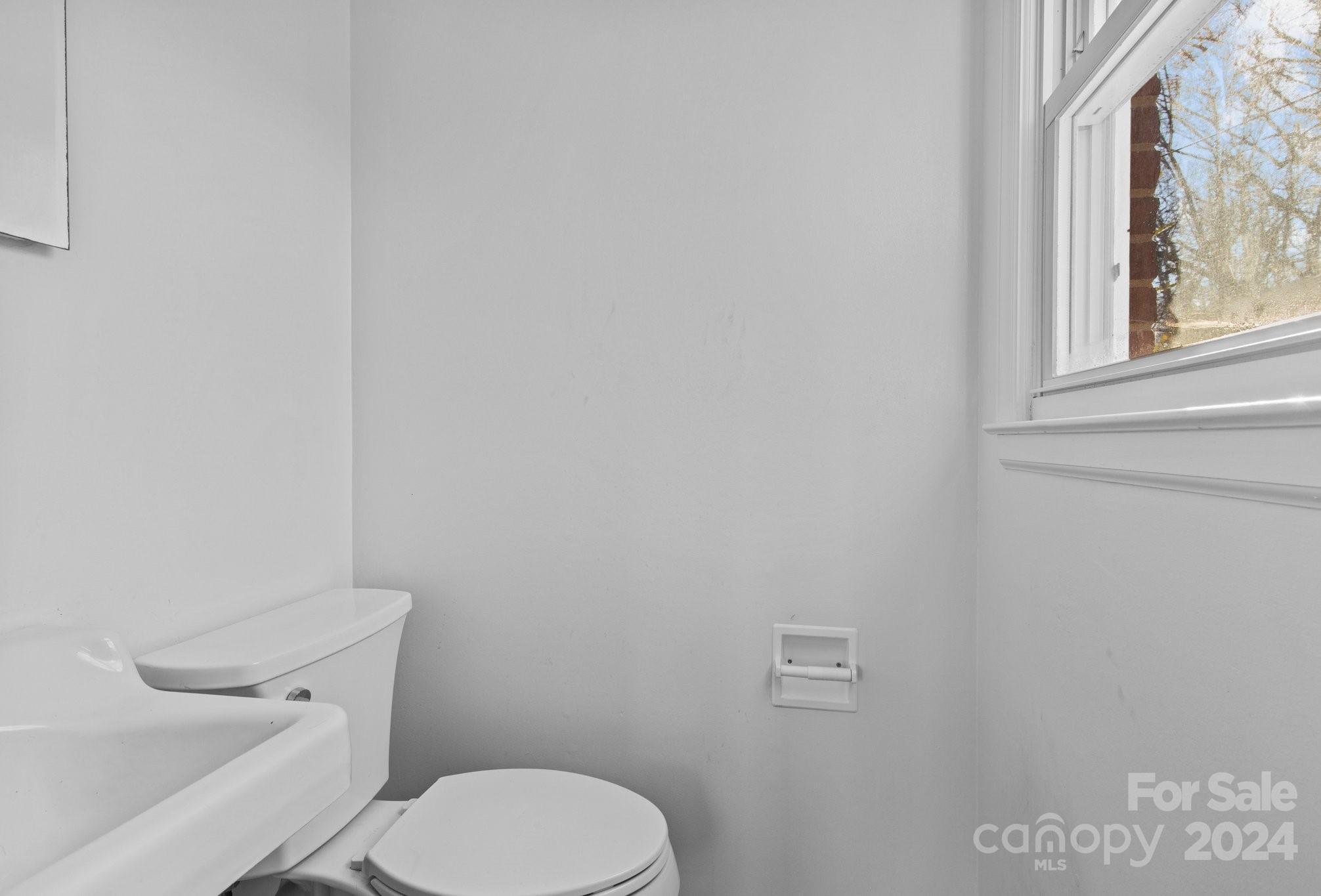 Photo #6