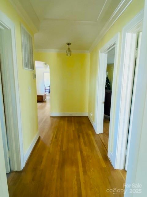 Photo #7