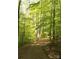 Peaceful nature trail winding through a sun-dappled forest at 125 High Rock Ct # 07, Statesville, NC 28677