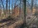 Private wooded lot with mature trees at 7100 Ridge Lane Rd, Charlotte, NC 28262