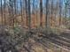 Wooded area with leaf covered ground at 7100 Ridge Lane Rd, Charlotte, NC 28262