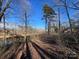 Peaceful wooded area with tall trees and shadows at 7100 Ridge Lane Rd, Charlotte, NC 28262