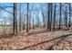 Private wooded lot ready for your home at 1095 Mount Ulla Hwy, Mooresville, NC 28115