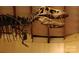 Tyrannosaurus Rex fossil skeleton displayed in a museum at 4223 S New Hope Rd # 8, Cramerton, NC 28032