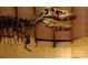 Fossil of a Tyrannosaurus Rex in a museum setting at 4229 S New Hope Rd # 11, Cramerton, NC 28032