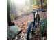 Mountain bike resting on rocks in autumnal woods at 4227 S New Hope Rd # 10, Cramerton, NC 28032
