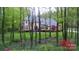 Image 1 of 48: 11119 Redgrave Ln, Mint Hill
