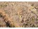House nestled in a wooded area, seen from above at 1836 Westbrook Rd, Edgemoor, SC 29712