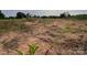 Open field with overgrown vegetation at 3923 Old Pageland Monroe Rd, Monroe, NC 28112