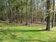 Spacious backyard with lush green grass and mature trees at 111 Bobby Lee Ln # 18, Mooresville, NC 28115