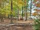 Wooded backyard with a cow and grassy areas at 111 Bobby Lee Ln # 18, Mooresville, NC 28115