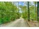 Long driveway leading to a home through a lush, wooded area at 9504 Deer Run Rd, Waxhaw, NC 28173