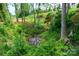 Wooded area with a small creek running through it at 539 N C Ave, Maiden, NC 28650
