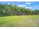 Open grassy backyard with lush green lawn at 2004 Cedar Falls Dr # 4, Waxhaw, NC 28173