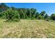 Overgrown field with mature trees and old truck at 10910 Archer Rd, Davidson, NC 28036