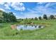 Serene pond with lush greenery, offering a peaceful view at 8714 Brideswell Ln, Charlotte, NC 28278