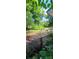 Large backyard with a wooden fence and green grass at 2210 Goldmine Rd, Monroe, NC 28110