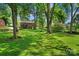 Large backyard with lush green grass and mature trees at 810 Hampton St, Shelby, NC 28152