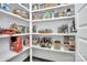 Well-organized pantry with ample shelving for storage at 2031 Masons Bend Dr, Fort Mill, SC 29708