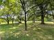 Spacious grassy yard with mature trees provides ample outdoor space at 506 Hearne Farm Rd, Mount Gilead, NC 27306