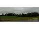 Open land with a treeline and grassy area at 444 Badin Lake Rd, New London, NC 28127