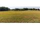 Open land with mature trees and distant woodland at 243 Love St, McConnells, SC 29726