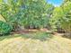 Spacious backyard with lush greenery and mature trees at 8534 Headford Rd, Charlotte, NC 28277